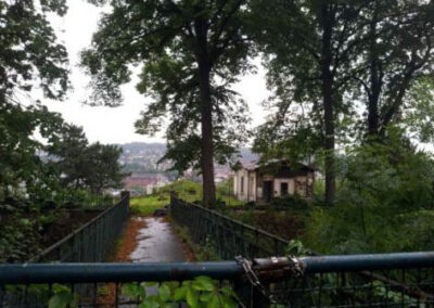 Belvedere Hackenberg