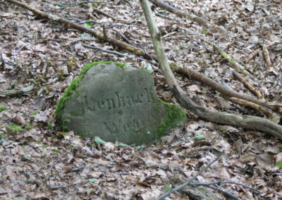 Königshöhe / Kiesberg